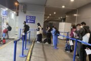 上半年国内入境游回暖：上海415.8万人次领跑