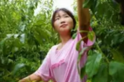 上海为云南绥江“半边红”李子产业注入新动能