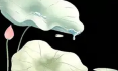小暑至，盛夏的序章悄然奏响