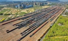 上半年国家铁路发送货物19.8亿吨，同比增长3.0%：物流引擎强劲驱动经济循环
