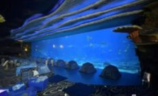 近2000元住一晚海洋馆，门票售罄！夜宿经济成暑期旅游新宠
